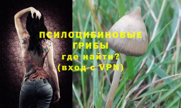 а пвп мука Абаза